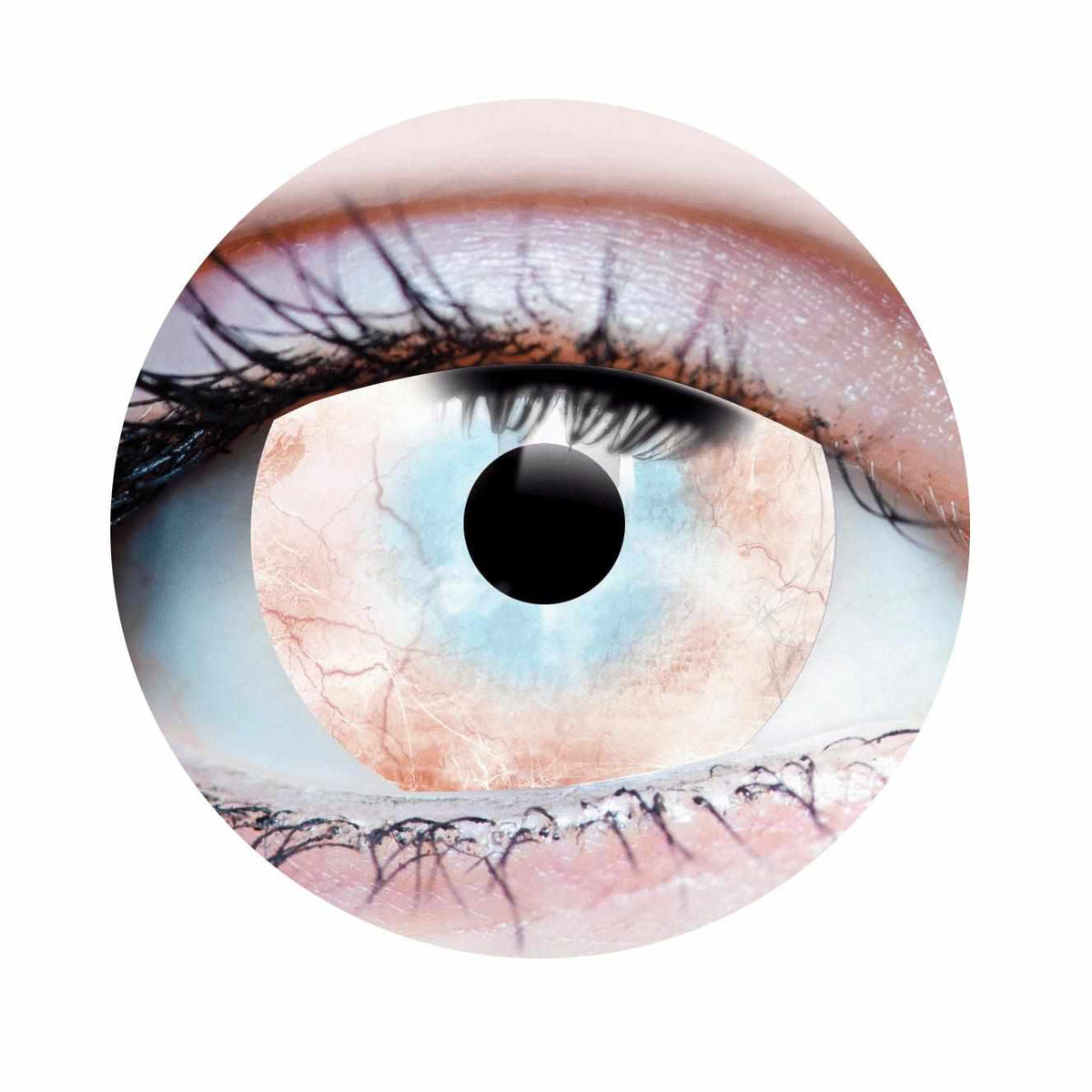Lentille - plague 18+
