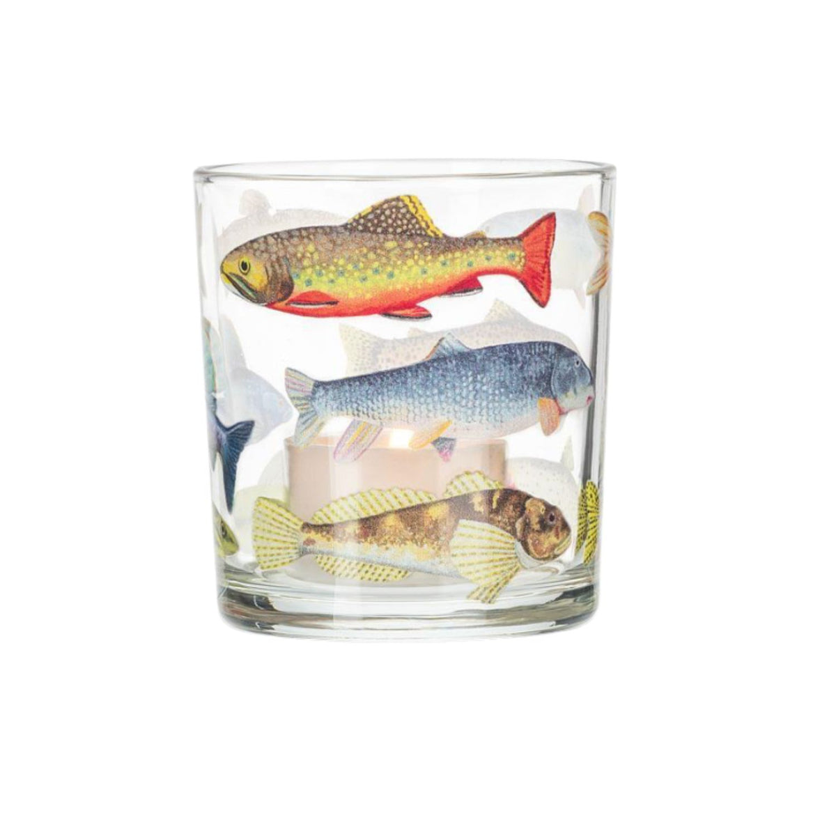 Verre Flicker à motifs de poissons – Abbott