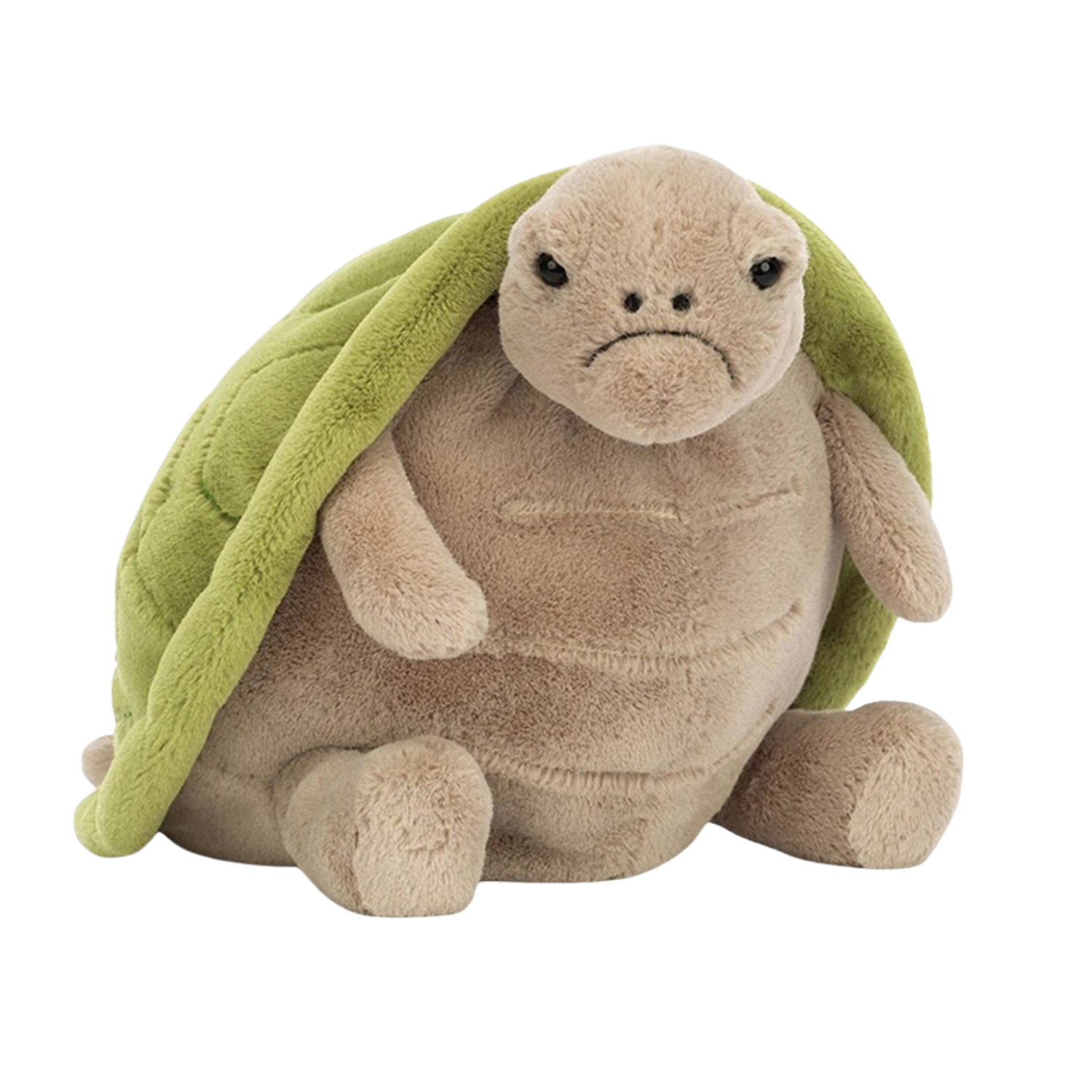 Timmy turtle