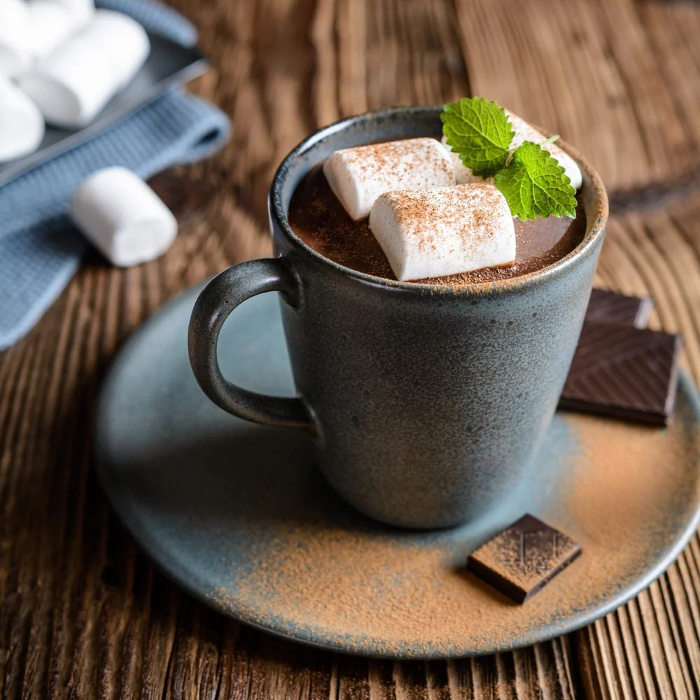 Chocolat chaud à la menthe – Gourmet du Village, 35 g