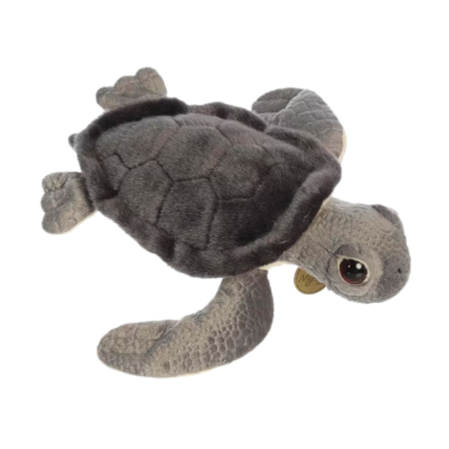 Tortue de Mer Bébé – Peluche réaliste | Aurora