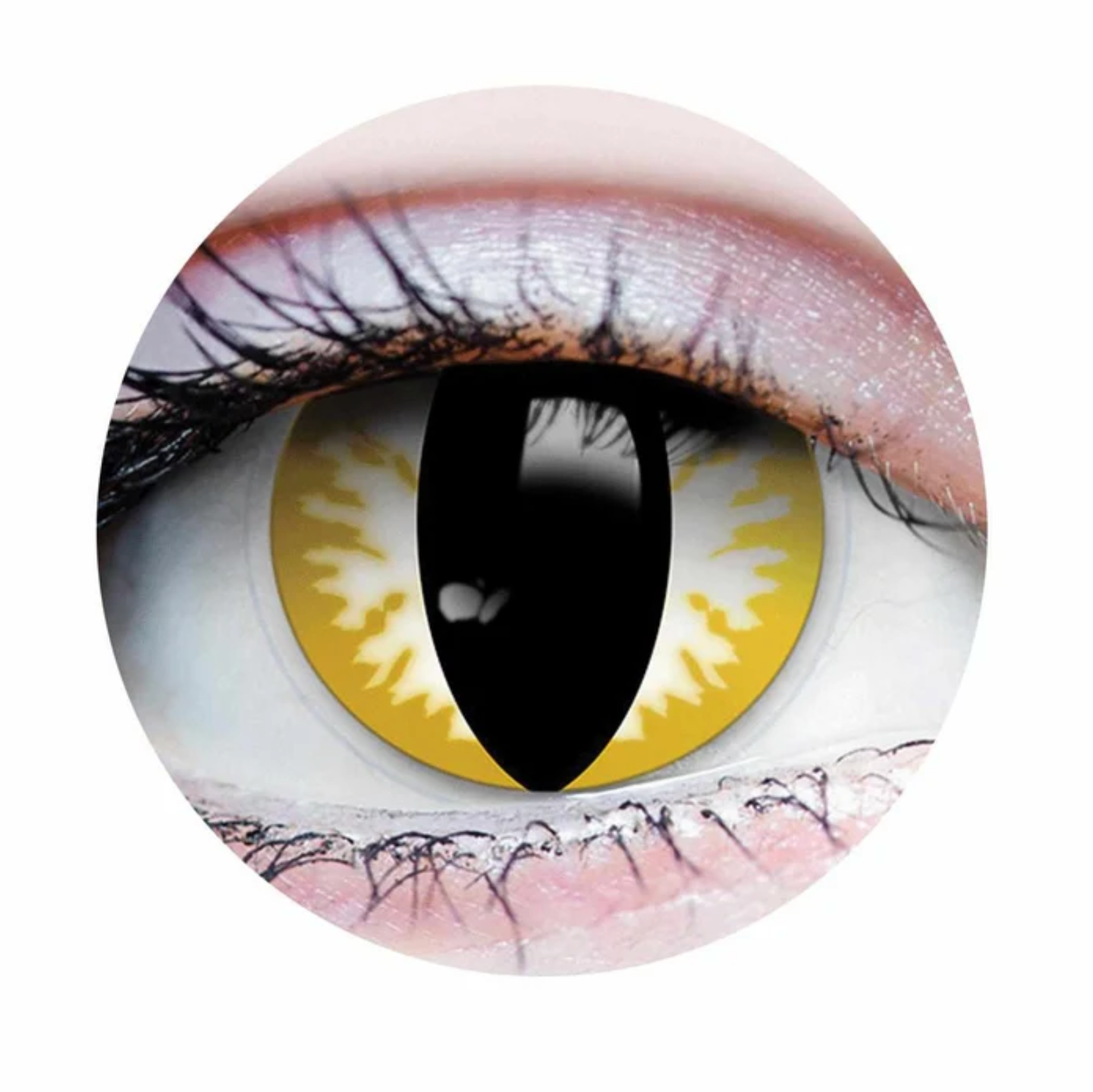 Lentille thriller - Primal