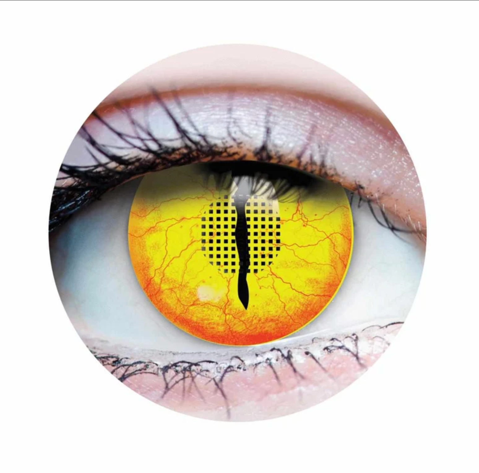 Lentille jurassic 1 - Primal 16+