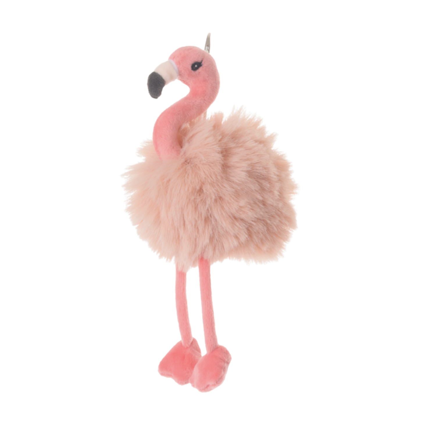 Flamand rose Phoebe – Bukowski