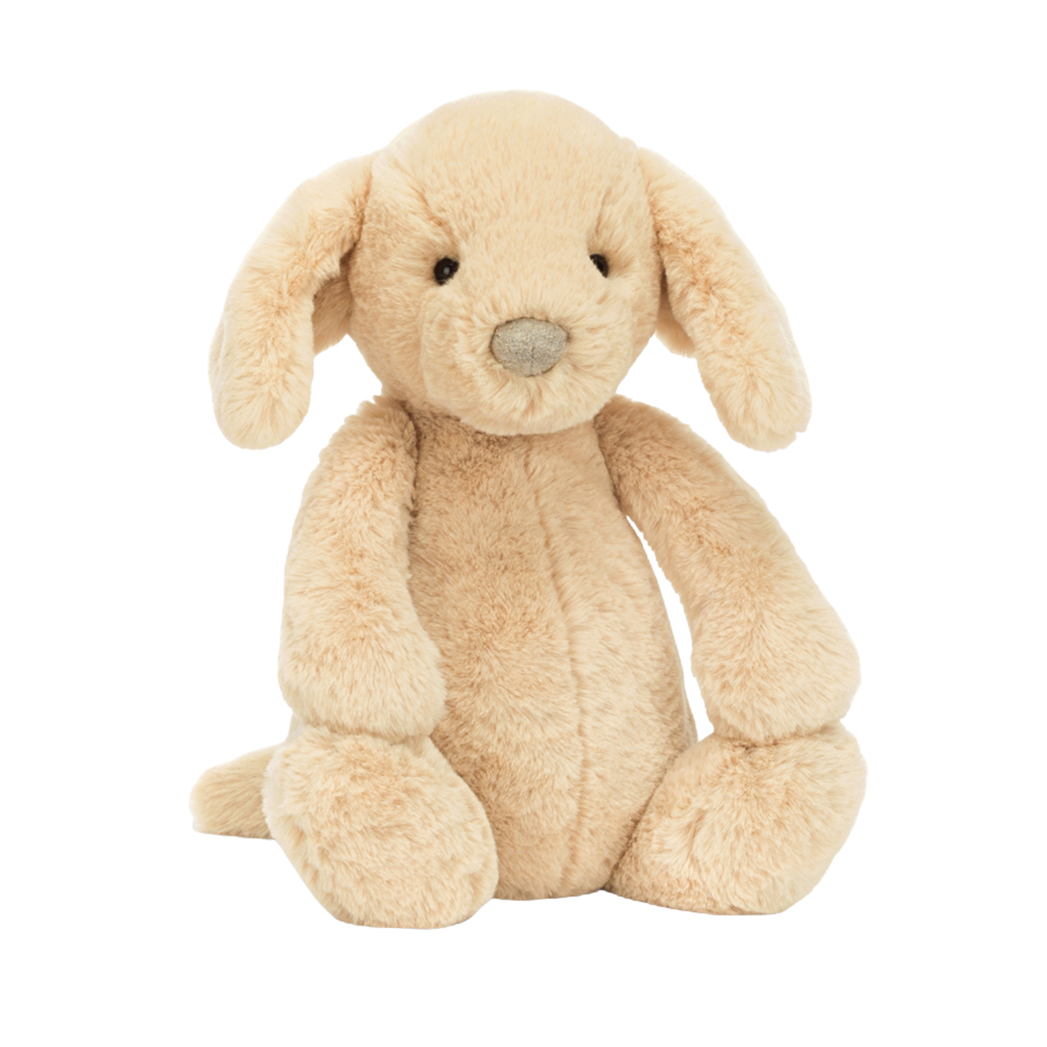 Bashful luxe puppy orlando