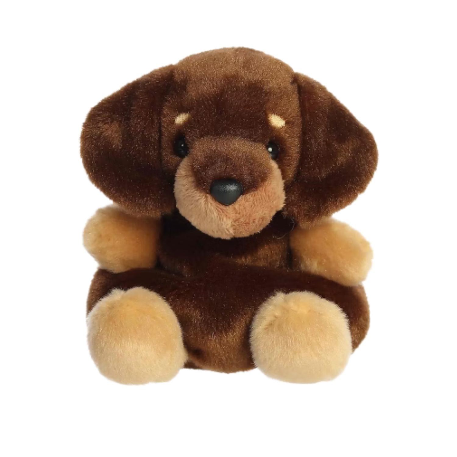 Houdini – Peluche teckel chocolat