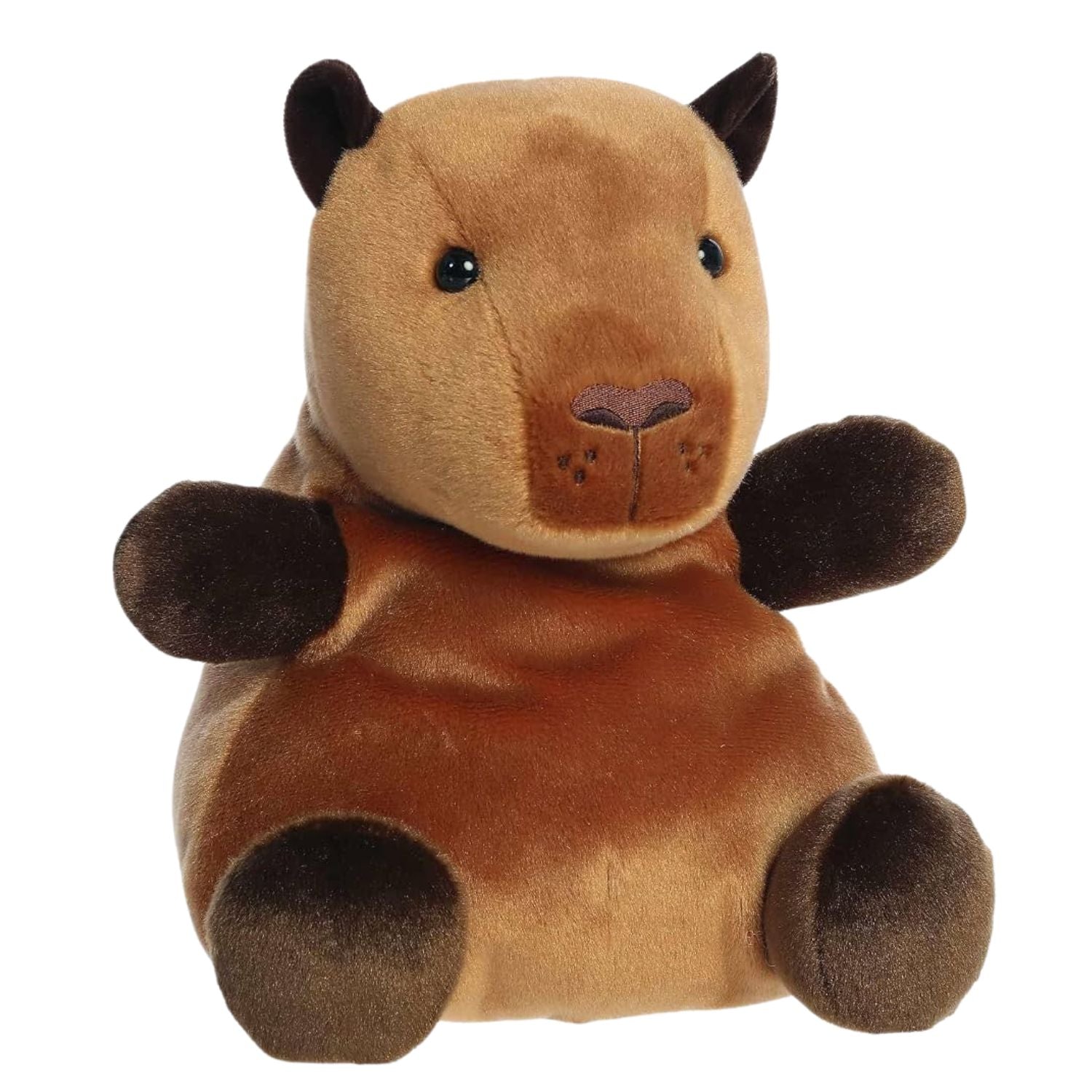 Sid Capybara – Peluche douce & ronde | Aurora