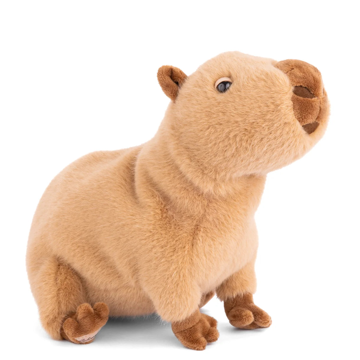 Théo — Peluche Capybara Réaliste | Bukowski
