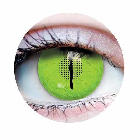 Lentille -  jurassic III 18+